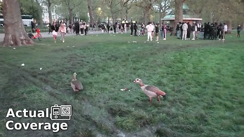 '4:20' celebrators leave Hyde Park an absolute dump | HYDE PARK | 20th April 2022