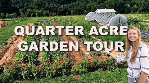 July Garden Tour! Growing a Years Supply of Food on a 1/4 acre