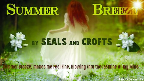 Summer Breeze by Seals and Crofts ~ The Pineal Gland to God