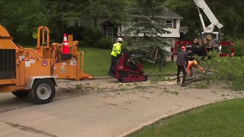 Local tree services facing staffing shortages, struggle with high demand after strong winds