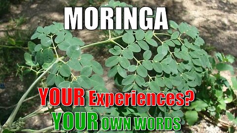 Moringa For Arthritis Treatment - What YOU are Saying | In Your Words | Big Family Homestead 01/23