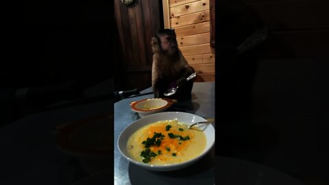 Dinner!! Mom made yummy hash brown potato soup!!! Gonna make me schronggg