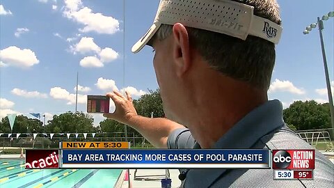 Tampa Bay area tracking more cases of pool parasites
