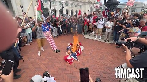 Pro-Palestinian Protesters Burn U.S. Flag in DC
