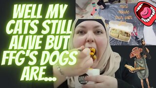 Foodie Beauty House Tour, Raging At Reactors Why People Donate When It Comes To FFG Her Dogs Are ...