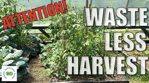 ATTENTION New Homesteaders: Start by Growing These!