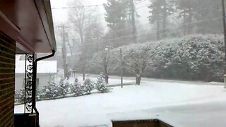 video-2010-01-29-15-46-34