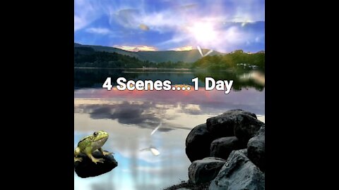 ' 4 Scenes...1 Day '