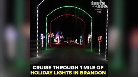 Wonderland of Lights in Brandon, Florida | Taste and See Tampa Bay