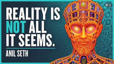 Is Reality Just A Hallucination In The Brain? - Anil Seth | Modern Wisdom 649