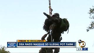 Exclusive: 10News follows task force on dangerous raid of massive hidden marijuana grow in SD County