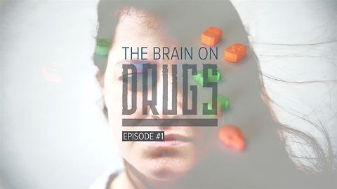 The Brain on Drugs: Ecstasy