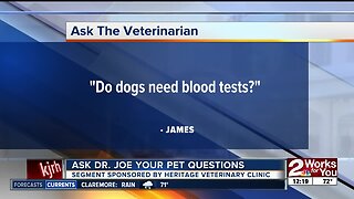 Ask Dr. Joe your pet questions