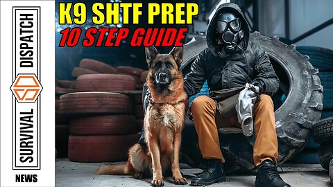 Urban Survival: K9 Preparedness 10 Step Guide