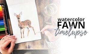 Timelapse Watercolor Painting of a Fawn