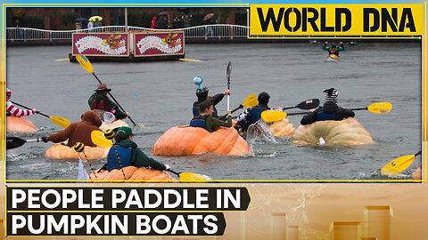 Belgian town hosts its annual Pumpkin Boat Race | WION World of DNA