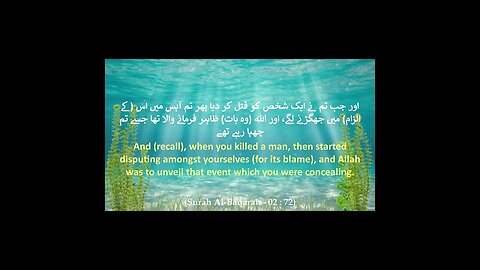 Part # 27 - Surah Al-Baqarah (The Cow) | Translation Verse 72 - 73 | HD #shorts