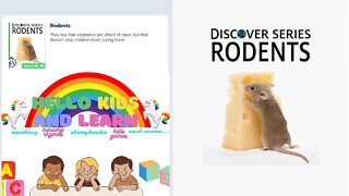 Discover Series - Rodents