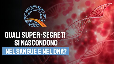 🩸 Sangue e DNA 🧬 Quali incredibili segreti nascondono?