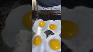 Fried duck eggs