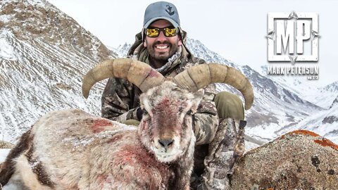 FIRST EVER ON FILM - Pakistan Blue Sheep Hunt, Sheep Week 2022 | Mark Peterson Hunting
