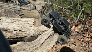 Axial capra log climb 2