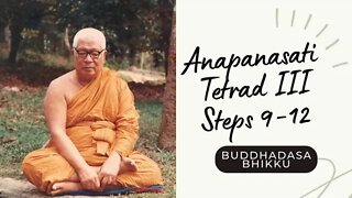 Buddhadasa Bhikku I Anapanasati - Tetrad III - Steps 9-12