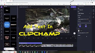 Add Text In Clipchamp
