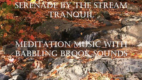 Serenade by the Stream Tranquil Meditation Music with Babbling Brook Sounds