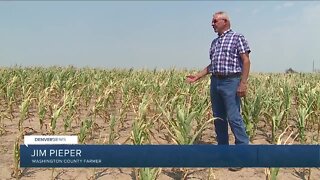 Drought taking toll on Colorado's dry land farmers, small town main streets