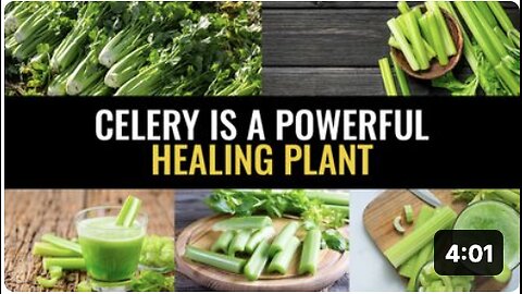 Celery is a powerful healing plant