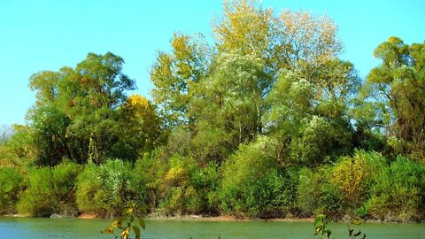 NATURE SOUNDS OF A Forest River for Relaxing - Natural Soothing Sound of a Waterfall & Bird Songs