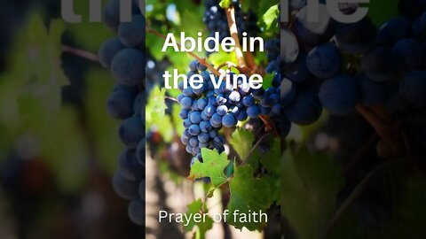 Abide in the vine - a prayer of faith #shorts