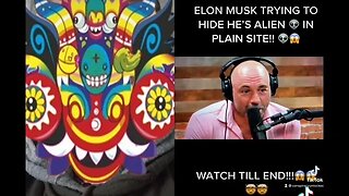 Elon musk is a Alien 👽