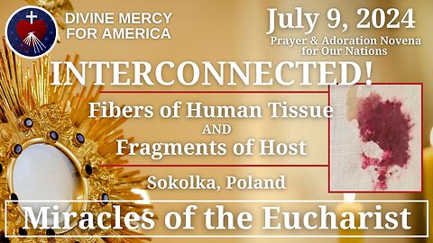 Dave & Joan Maroney - Eucharistic Miracle Series - Sokokla, Poland - Human Cardiac Tissue