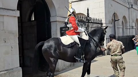 Spooked Horse won't stay in the Box #horseguardsparade