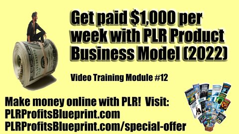 Video Training Module #12: Get paid $1,000 per week with PLR product business model