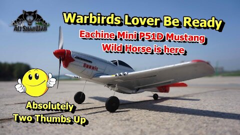 The Best Mini RC P51D Mustang Wild Horse Warbird RC Plane Ever
