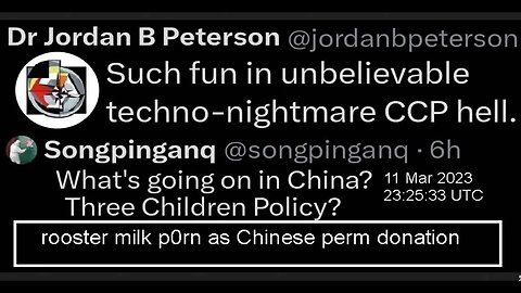 11 Mar 2023 Jordan Peterson retweeted Songpinganq's rooster milk p0rn as Chinese perm donation oops
