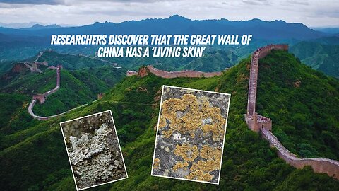 The Great Wall of China has a "Living Skin" that’s Protected it for Centuries