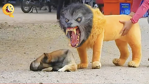 Roaring Laughter: Fake Lion Pranks Dog! 🦁😄