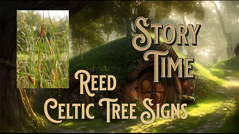 Celtic tree signs, Reed the 12th sign