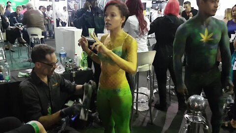SOUTH AFRICA - Cape Town - Cannabis Expo (Video) (xW2)