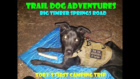 Big Timber Spring Road- Wild Horse & Toby's First Campout