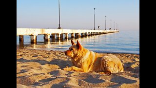 Sunday morning beach tour (Greece) 🇬🇷 😎 4K Peraia - Neoi Epivates