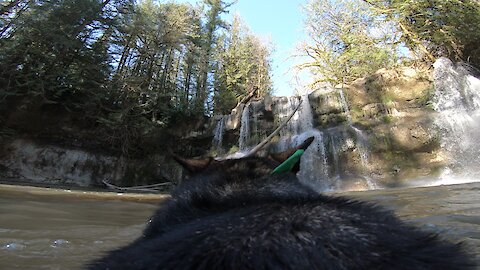Hiking dog with attached GoPro plays fetch in secret waterfall