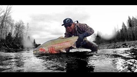 Several 20 Pound Steelhead | Addicted Fishing Throwbacks