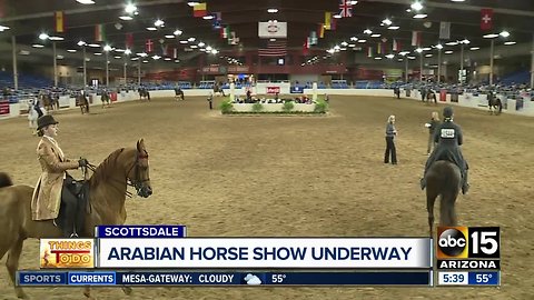 Arabian Horse Show underway in Scottsdale