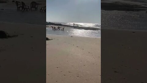 إنحسار البحر قبالة الشاطئ شمال قطاع #غزة 🇵🇸