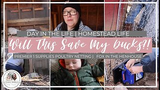 Will this Save My Ducks?! | Day in the Life | FARM MOM LIFE